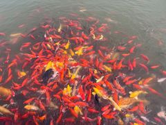 -狼山风景名胜区