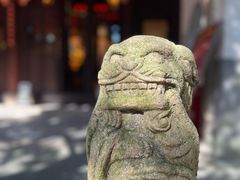 -秋霞圃
