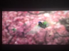 -金逸影城(百信东区店)