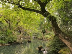 -成都武侯祠博物馆