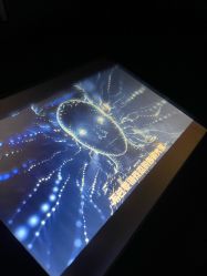 -疯狂冒险家-亲子密室-东坝店(金隅嘉品店)