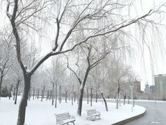 -泰丰公园