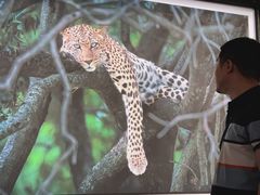 -罗红摄影艺术馆