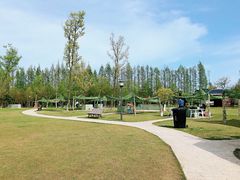 -上海长兴岛郊野公园