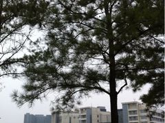 iphone_upload_pic-美兰湖景区