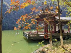 -水濂山森林公园