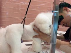 -FAELING PETS美天灵宠物(合生汇店)
