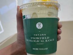 -茉酸奶(春熙路店)
