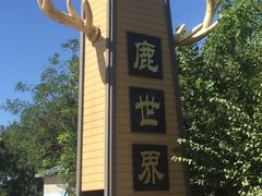 -北京鹿世界主题园
