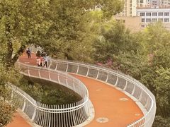-金鸡山公园