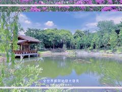 -梁鸿国家湿地公园