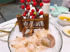特大海螺-喜聚薈·花膠雞海鮮火鍋(越秀店)
