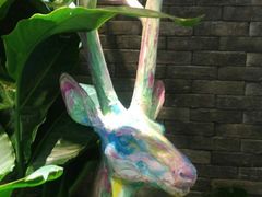 -茶理宜世(东方宝泰店)