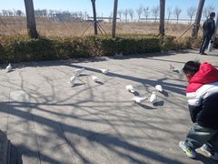 -天津妈祖文化园