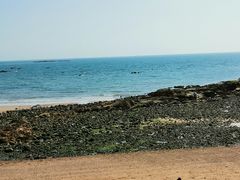 -青岛第二海水浴场