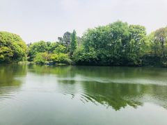 -张鸟园农家乐(张鸟园店)
