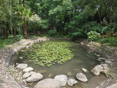 -苏州河梦清园环保主题公园