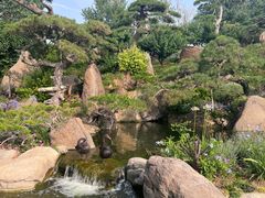 -罗红摄影艺术馆