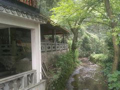-龙井村