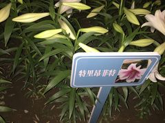 -文瀛公园