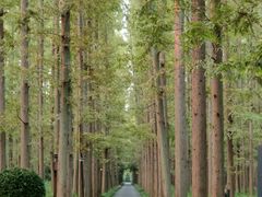-上海怡沁园度假酒店