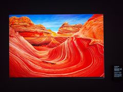 -罗红摄影艺术馆