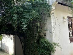 -巡塘古镇