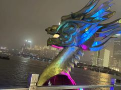 -新龙船黄浦江餐饮游船官方自营店