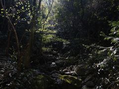 -太湖源风景区