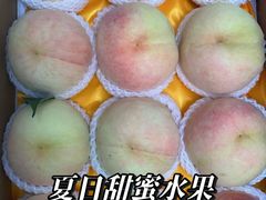 -老袁家蜜桃农场·阳山水蜜桃