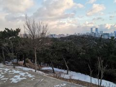 -北岭山森林公园