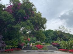-金鸡山公园