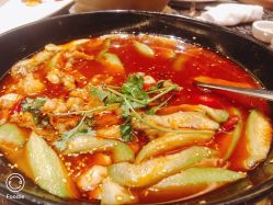 -新城花园酒店·宴会厅