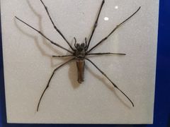 -上海昆虫博物馆