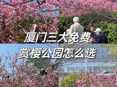 -狐尾山公园