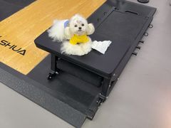 -VPsmart私教健身工作室(新华路旗舰店)