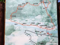 -海南热带雨林国家公园吊罗山景区