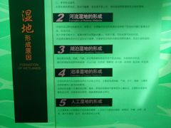 -中国湿地博物馆