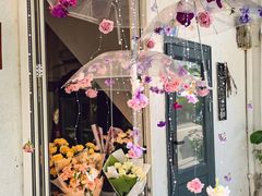 -溪岸路花鸟市场