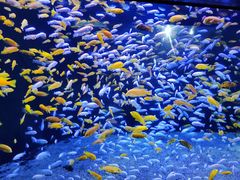 -成都浩海立方海洋公园