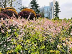 -静安公园(静安寺街道)