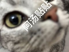-瑞派康怡24h宠物医院·犬猫医疗中心·微创绝育(瑞景分院)