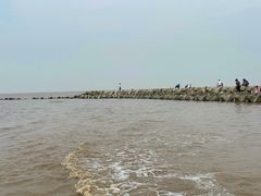 -南汇嘴观海公园