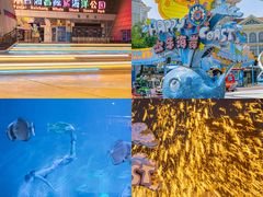 -烟台海昌鲸鲨海洋公园