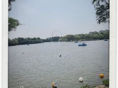 -上海野生动物园