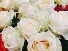 -爱尚幸福鲜花(上地实体店)