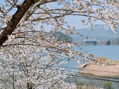-四明山国家森林公园