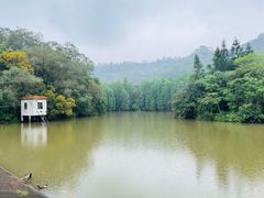 -滴水岩森林公园