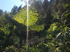 -蝴蝶泉公园
