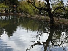 -丽江玉水寨